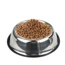 Stainless Steel Bowl for Dogs 3