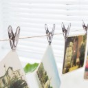 Stainless Steel Clothes Pegs 40 pcs 5