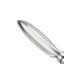 Stainless Steel Fish Scaler 4