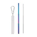 Stainless Steel Folding Straw with Case 4