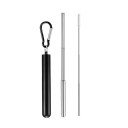 Stainless Steel Folding Straw with Case 10