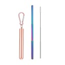 Stainless Steel Folding Straw with Case 11