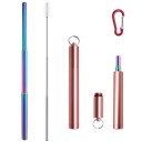 Stainless Steel Folding Straw with Case 15