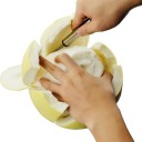 Stainless Steel Peeling Knife 5