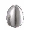 Stainless Steel Salt Shaker 1