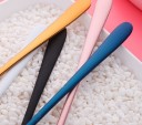 Stainless Steel Spoon with Coloured Handle 10