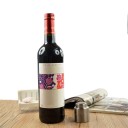 Stainless Steel Wine Vacuum Stopper 4