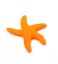 Starfish - Szilikon rágóka J2527 8