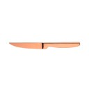 Steakkniv 4 stk. 2