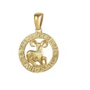 Sterrenbeeld ketting D143 5