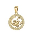 Sterrenbeeld ketting D143 12