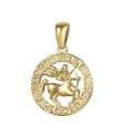 Sterrenbeeld ketting D143 13
