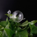 Stikkontaktvanddispenser til blomsterpotter 5