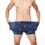 Stilvolle Herren-Boxershorts A3 2