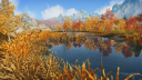 Stranded: Alien Dawn PC Steam CD Klucz 9