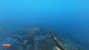 Stranded Deep PS4/PS5 Fiók 4