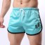 Strandshorts für Herren 8