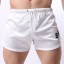 Strandshorts für Herren 4