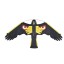 Straszny ptak makieta drapieżnika C873 6
