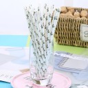 Straws de papel com padrão 25 un 5