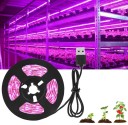 Stribbelysning til hjemmedyrkning 30 LED&#39;er 50 cm 3