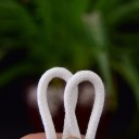 String for Self-Watering Planter 3