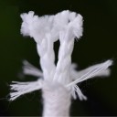 String for Self-Watering Planter 6