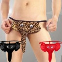 String pour homme - Éléphant 1