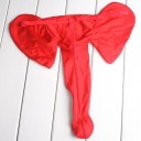 String pour homme - Éléphant 3