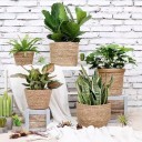 Stro bloempot 3 stuks 1