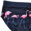 Stroje kąpielowe męskie z flamingami 3