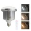 Studio-LED-Lampe 105 W 2