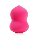 Stylish Make-Up Sponge 10