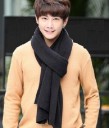 Stylish Men's Winter Scarf J2970 7