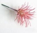 Succulent artificiel 17