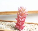 Succulent artificiel 9