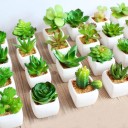 Succulent artificiel C580 1