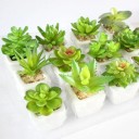 Succulent artificiel C580 3