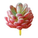 Succulent artificiel C642 12