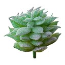 Succulent artificiel C642 13
