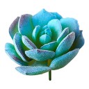 Succulent artificiel C642 2