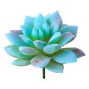 Succulent artificiel C642 8