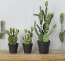 Succulent artificiel décoratif 1