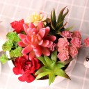 Succulent artificiel 2