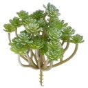 Succulent décoratif artificiel 1