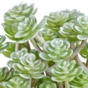 Succulent décoratif artificiel 4