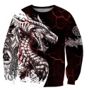 Sudadera de hombre con dragón 2