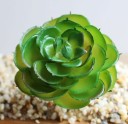 Sukulentale artificiale C580 15