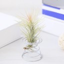 Suporte metálico para pequenas plantas 5