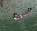 Support de caméra flottant 8